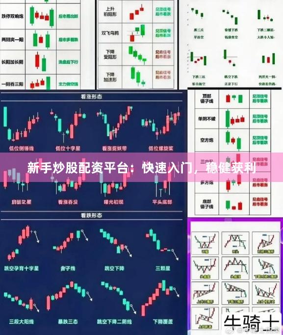 新手炒股配资平台：快速入门，稳健获利