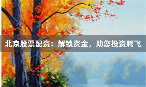 北京股票配资：解锁资金，助您投资腾飞