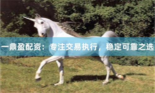 一鼎盈配资：专注交易执行，稳定可靠之选