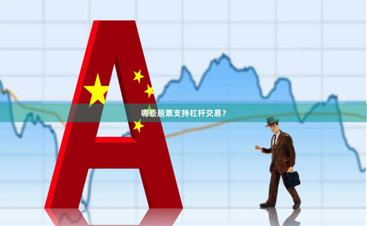 哪些股票支持杠杆交易？